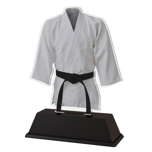 Standaard –  judo Sportprijzen Plaza